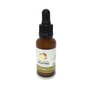 EXTRACTO REPARADOR DE CARACOL +